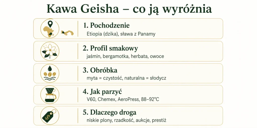  Schemat zatytułowany "Kawa Geisha – co ją wyróżnia" z pięcioma sekcjami: pochodzenie, profil smakowy, obróbka, jak parzyć, dlaczego droga — każda z ikoną i krótkim opisem