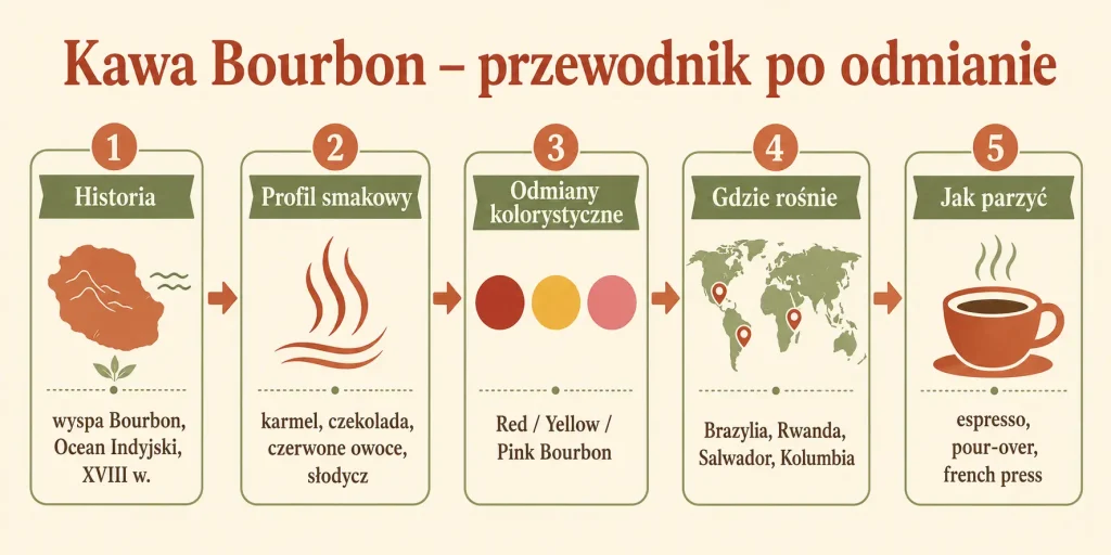 Schemat zatytułowany "Kawa Bourbon – przewodnik po odmianie" z pięcioma sekcjami: historia, profil smakowy, odmiany kolorystyczne, gdzie rośnie, jak parzyć — każda z ikoną i krótkim opisem