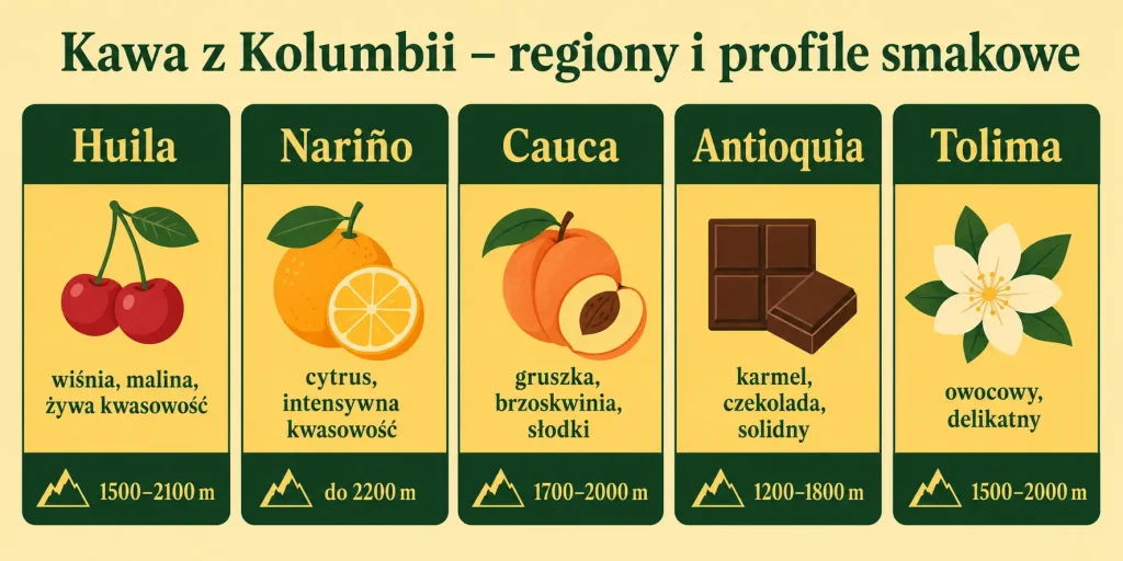Schemat zatytułowany "Kawa z Kolumbii – regiony i profile smakowe" z pięcioma sekcjami: Huila, Nariño, Cauca, Antioquia, Tolima — każda z ikoną, opisem smaku i wysokością uprawy