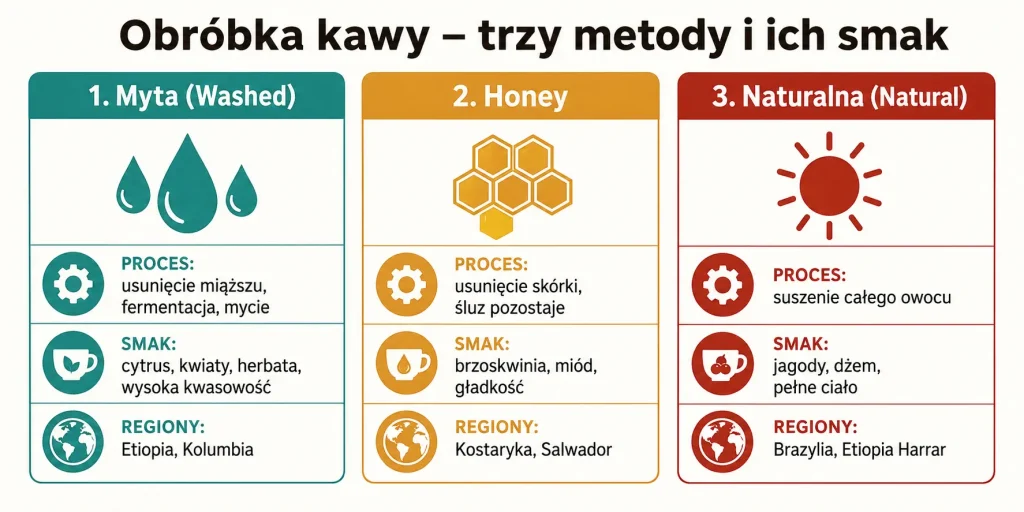 Obróbka kawy: myta, naturalna i honey — czym się różnią i jak wpływają na smak