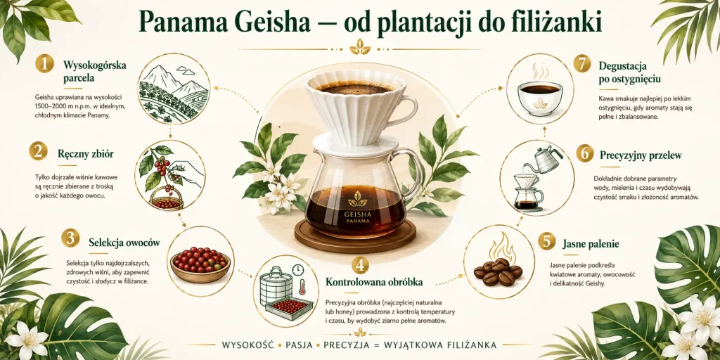 wysokogórska parcela, ręczny zbiór, selekcja owoców, kontrolowana obróbka, jasne palenie, precyzyjny przelew oraz degustacja po lekkim ostygnięciu